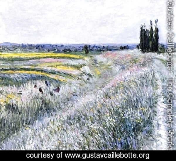 Gustave Caillebotte - The Plain at Gennevilliers, Group of Poplars