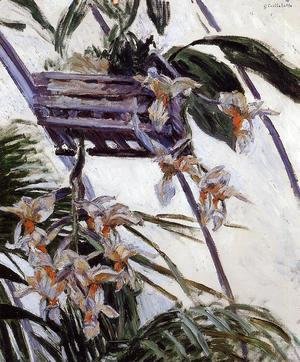 Gustave Caillebotte - Orchids