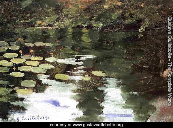 Yerres  On The Pond  Water Lilies