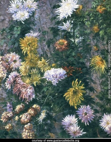 White and Yellow Chrysanthemums, Garden at Petit Gennevilliers