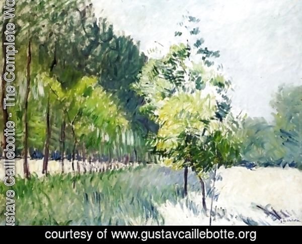 Gustave Caillebotte - Lane Bordered by Trees