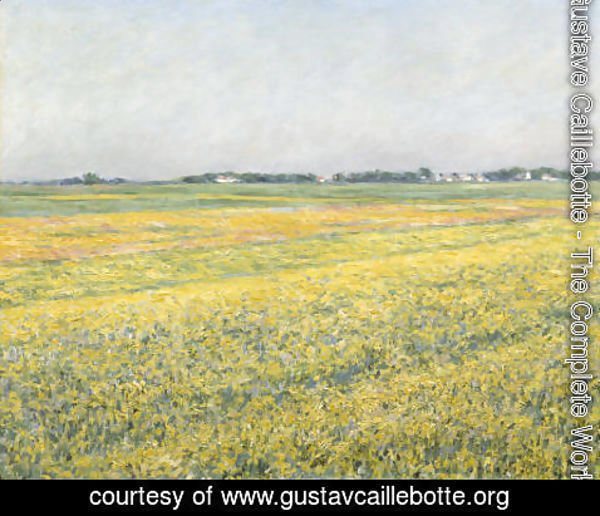 Gustave Caillebotte - La plaine de Gennevilliers, champs jaunes