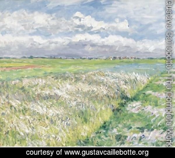 Gustave Caillebotte - Les Champs, Plaine De Gennevilliers, Etude En Jaune Et Vert