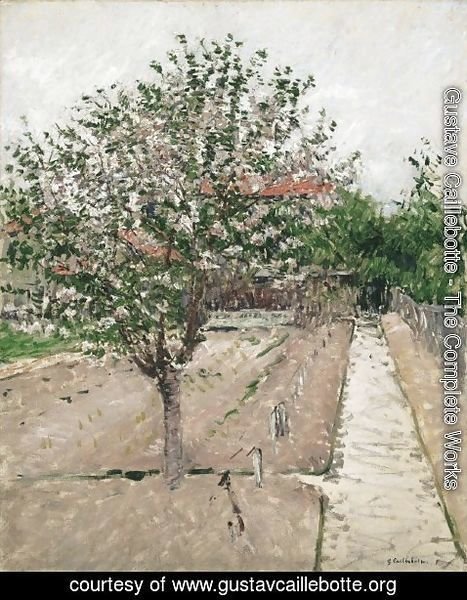 Gustave Caillebotte - Apple Tree in Blossom