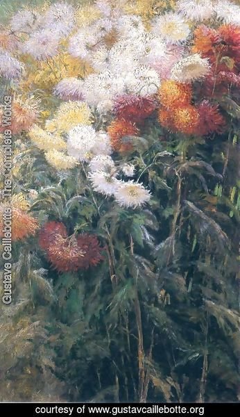 Gustave Caillebotte - Chrysanthemums  Garden At Petit Gennevilliers