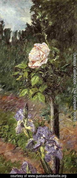 Gustave Caillebotte - Rose With Purple Iris  Garden At Petit Gennevilliers