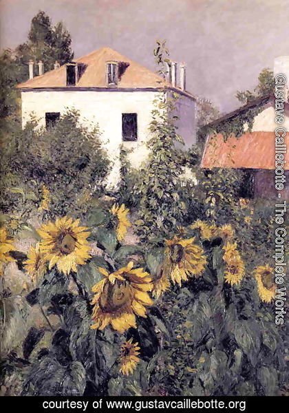 Gustave Caillebotte - Sunflowers  Garden At Petit Gennevilliers
