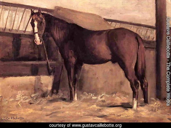 Yerres  Reddish Bay Horse In The Stable